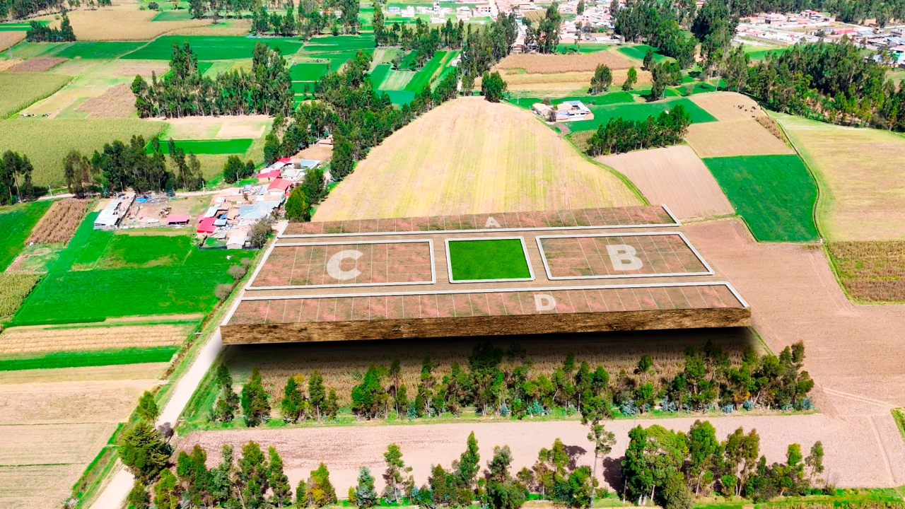 Villa de los Nísperos